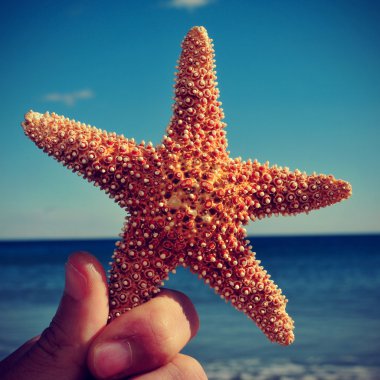 retro etkisi ile sahilde deniz yıldızı