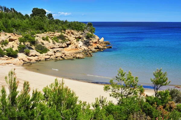 Stranden Cala forn i ametlla de mar, Spanien — Stockfoto