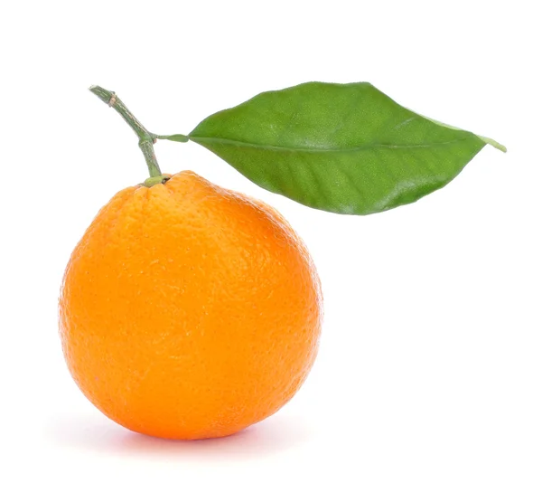 Oranje — Stockfoto