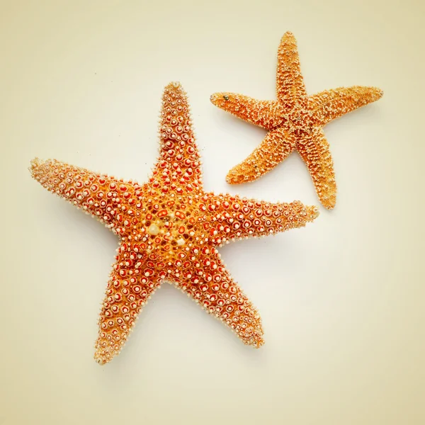 Retro efektli bej renkli bir arka plan üzerinde starfishes — Stok fotoğraf