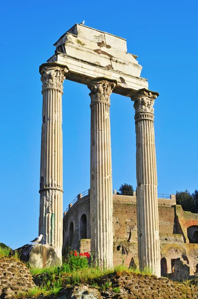 Forum romano a roma, italia — Foto Stock