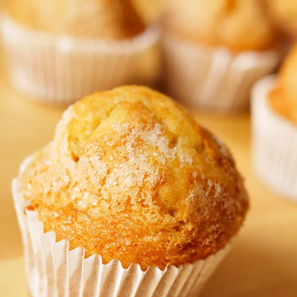 Magdalenas, typical spanish plain muffins — Stock Photo, Image