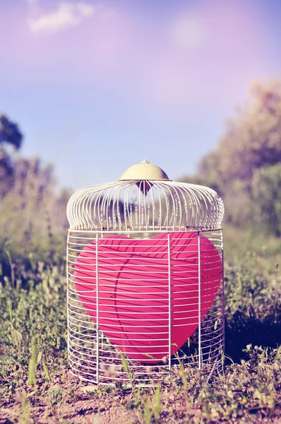 Heart-shaped balloon in a birdcage in the field, with a retro fi — Stock Photo, Image