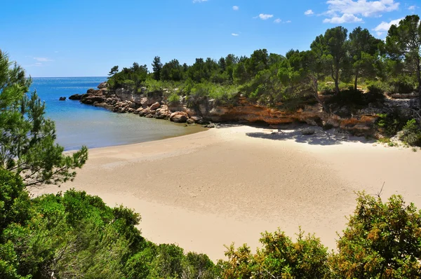 Stranden Cala calafato — Stockfoto