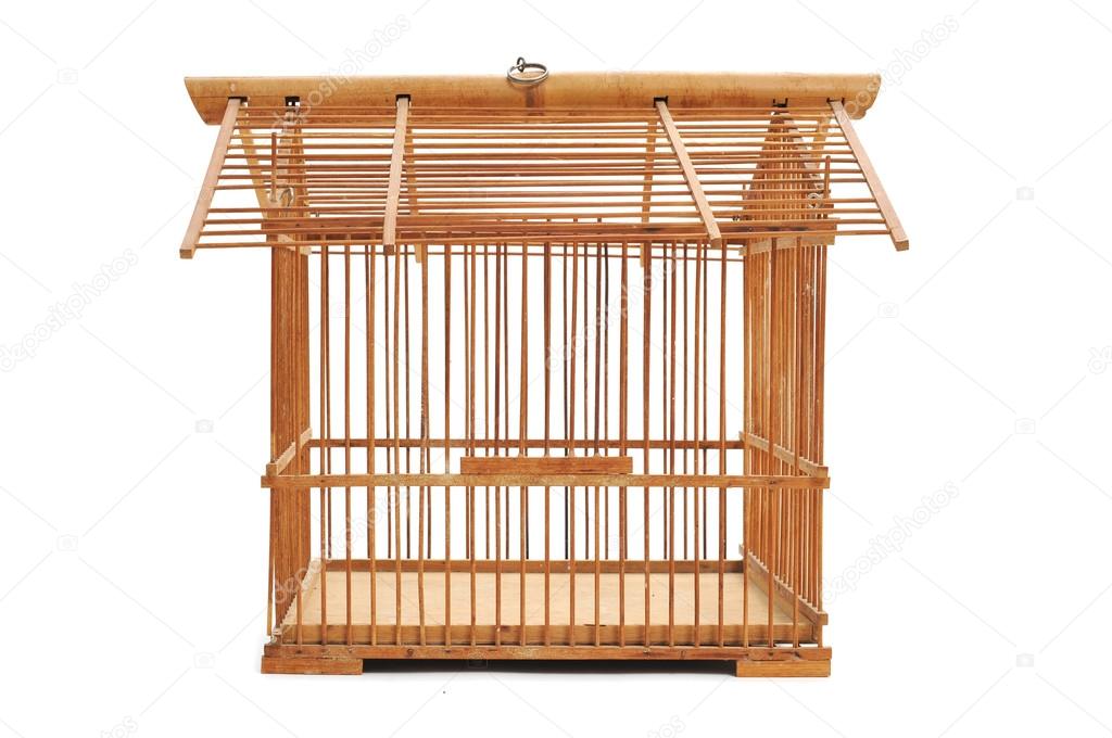 bamboo birdcage