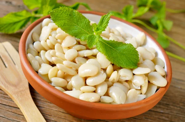 Cooked white beans — Stock Photo, Image