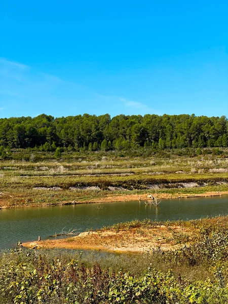Szczegółowo Rzeka Gaia Zbiorniku Catllar Catllar Katalonia Hiszpania Niskim Poziomem — Zdjęcie stockowe