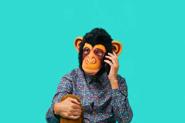 Vetores de Retrato De Gorila Feito Em Estilo De Desenho Animado Simples  Único Cabeça De Macaco Ícone Isolado Para O Seu Design e mais imagens de  Animal - iStock