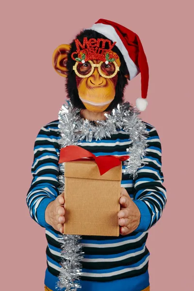 Крупный План Смешного Человека Дарящего Подарок Обезьяньей Маске Шляпе Санты — стоковое фото