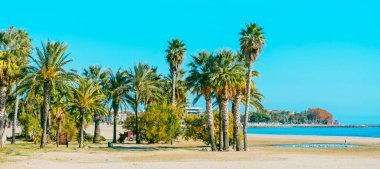 Platja del Regueral plajında palmiye ağaçları olan vaha, Platja del Prat den Fores olarak da bilinir, Cambrils, İspanya 'da, Costa Daurada sahilinde, web pankartı veya başlığı olarak kullanılacak panoramik bir formatta.