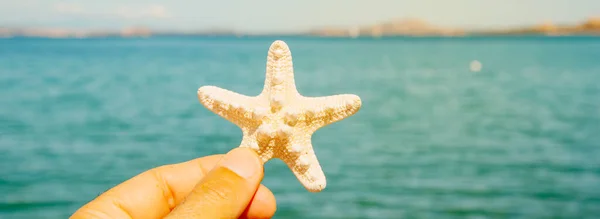 Sahilde Denizin Önünde Elinde Bir Denizyıldızı Tutan Genç Bir Adamın — Stok fotoğraf