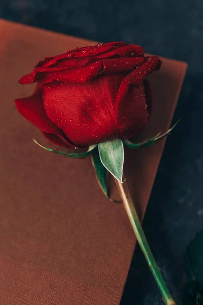 Vista Angolo Alto Libro Marrone Una Rosa Rossa Sant Jordi — Foto Stock