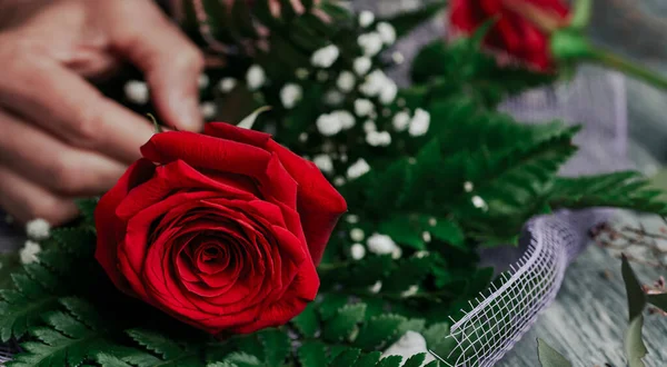 Closeup Caucasian Man Arranging Bouquet Some Red Roses Gray Rustic — Photo