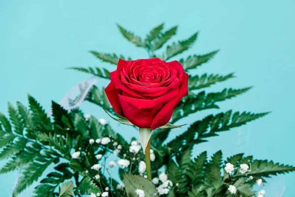 Closeup Ενός Μπουκέτο Ένα Κόκκινο Τριαντάφυλλο Μπλε Φόντο — Φωτογραφία Αρχείου