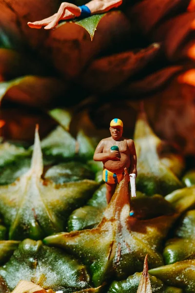 Zbliżenie Miniaturowego Mężczyzny Ubranego Strój Kąpielowy Paski Stojącego Ananasie Obok — Zdjęcie stockowe
