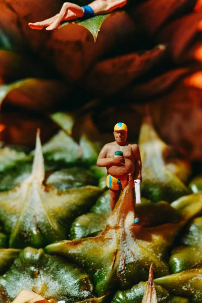 Closeup Miniature Man Wearing Striped Swimsuit Standing Pineapple Next Another — Stock Photo, Image