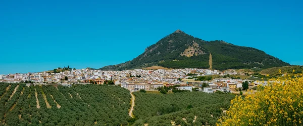 Uma Vista Sobre Rute Província Córdoba Andaluzia Espanha Formato Panorâmico — Fotografia de Stock