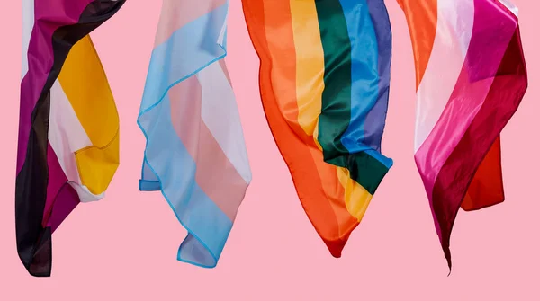 いくつかの異なるLgbtqiaの旗 例えば非バイナリのプライド旗 トランスジェンダーのプライド旗 ゲイのプライド旗 レズビアンのプライド旗などがピンクの背景に描かれています — ストック写真
