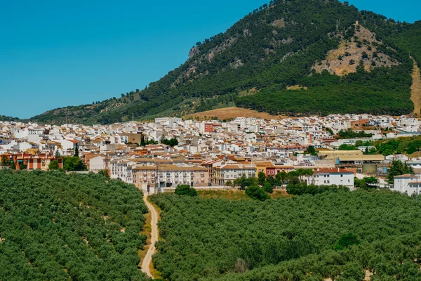 Endülüs Spanya Nın Endülüs Bölgesindeki Rute Nin Arka Plandaki Sierra — Stok fotoğraf