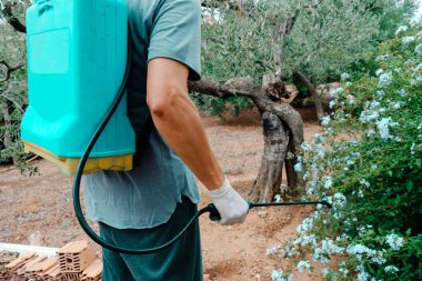 a caucasian man sprays insecticide on a shrub with a knapsack sprayer in a farmland
