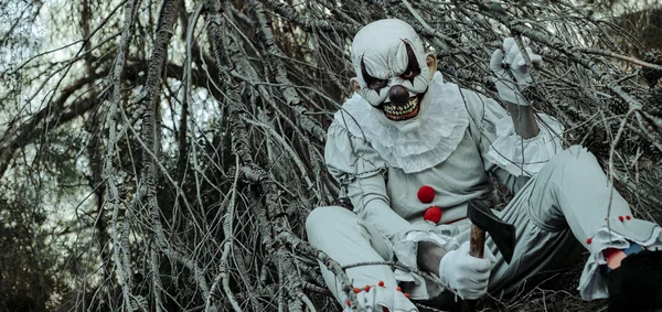 Karanlık çöktüğünde elinde baltayla gri bir kostüm ve kırmızı ponponlar giyen şeytani bir palyaçoya yaklaş. Ağ pankartı ya da başlık olarak kullanmak için panoramik bir formatta ormanın içinde oturuyor.