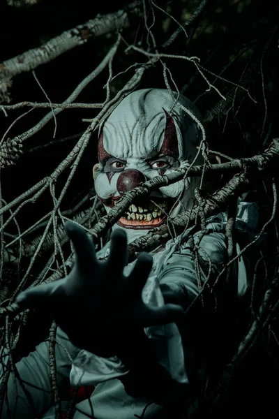 closeup of a creepy bald evil clown, wearing a gray costume with a white ruff, starring at the observer with a frightening smile through the dry branches of a pine tree in the woods at night