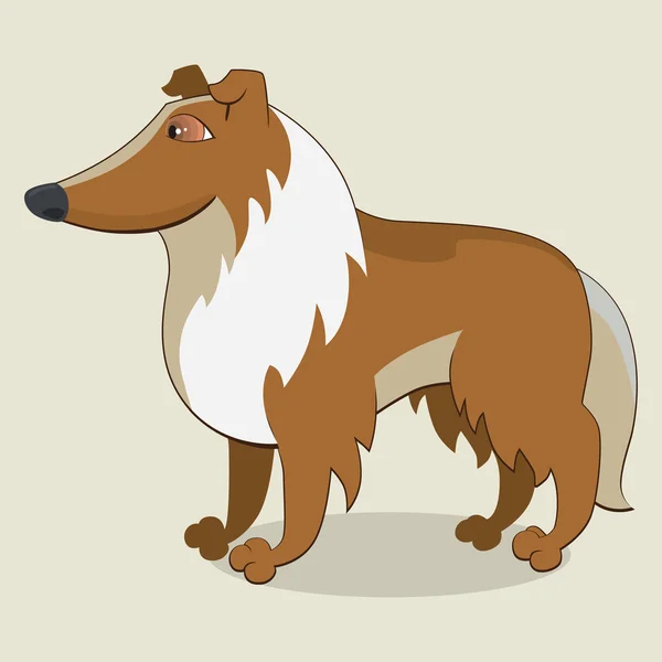 Collie — Stockvektor