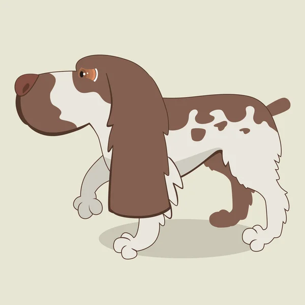 Spaniel — Wektor stockowy