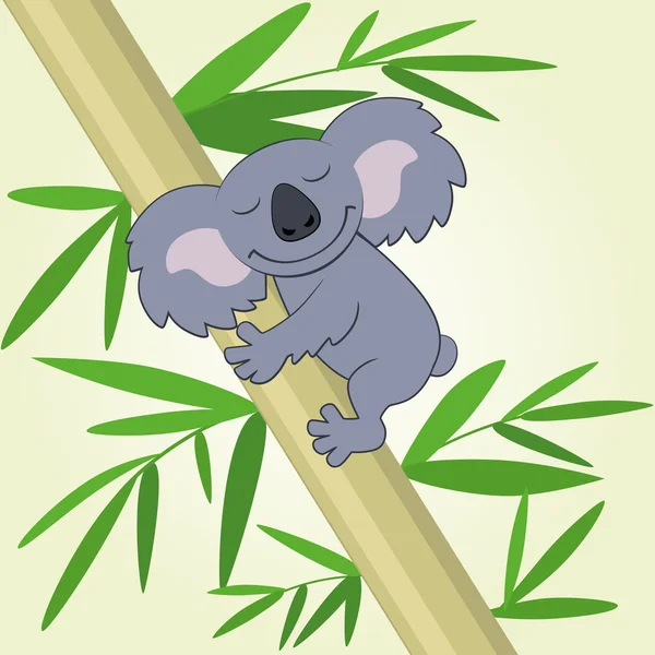 Koala — Stockový vektor