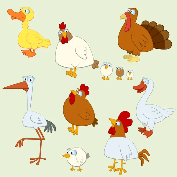 Juego de aves de dibujos animados — Vector de stock