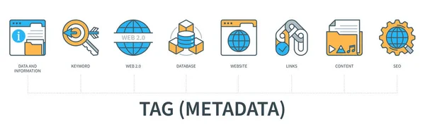 Tag Metadata Icons Data Information Web Database Website Links Content — Vetor de Stock