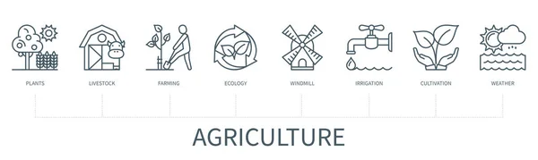 Concepto Agricultura Con Iconos Plantas Ganado Agricultura Ecología Molino Viento — Archivo Imágenes Vectoriales