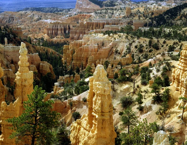 Canyon de Bryce, utah — Photo