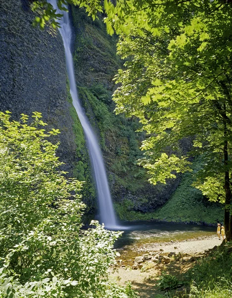 Latourel falls, Όρεγκον — Φωτογραφία Αρχείου