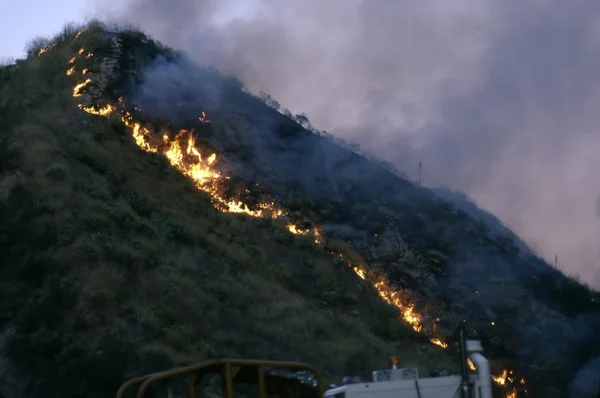 Spazzola fuoco — Foto Stock