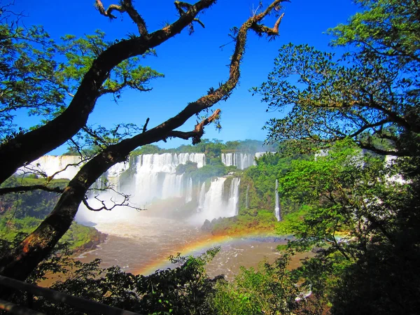 Chutes d'Iguazu — Photo
