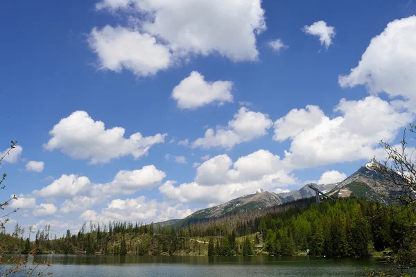 Lago — Foto de Stock