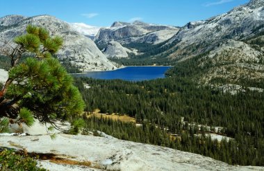 Yosemite Ulusal Parkı