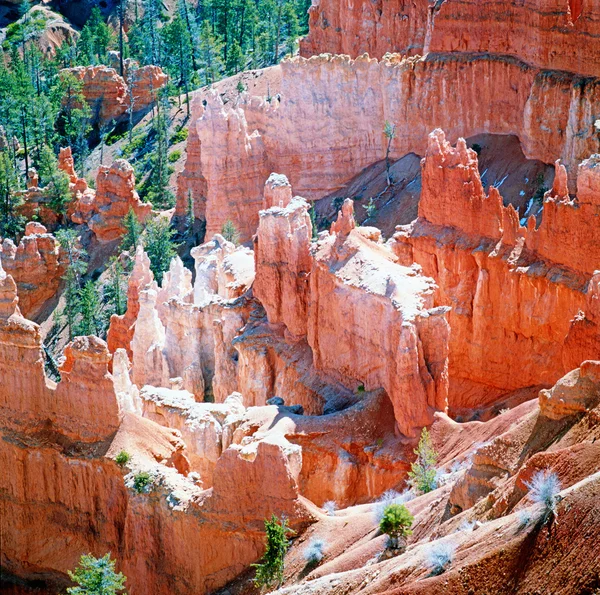 Bryce Canyon — Stock Photo, Image