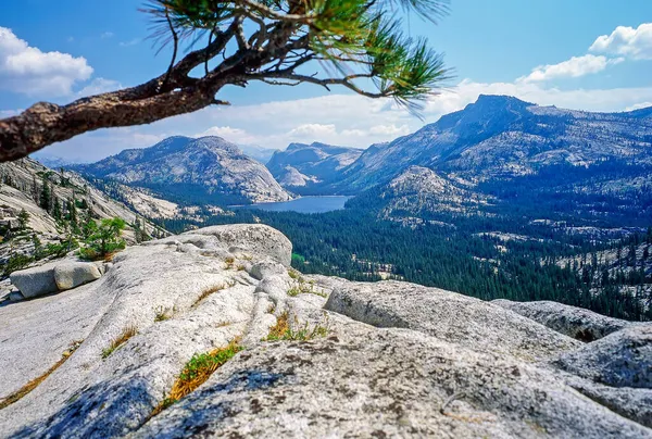 Lago Tenaya Parque Nacional Yosemite — Foto de Stock