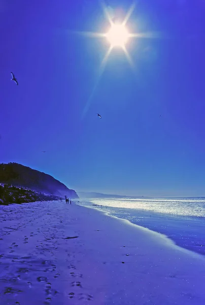 Playa Coronado California —  Fotos de Stock