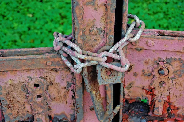 Corrente Velho Portão Enferrujado — Fotografia de Stock