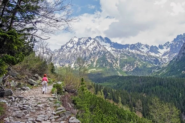 Пешие Прогулки Горах Высоких Татр Словакия — стоковое фото