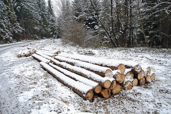 Skogsväg Vintern Med Stockar — Stockfoto