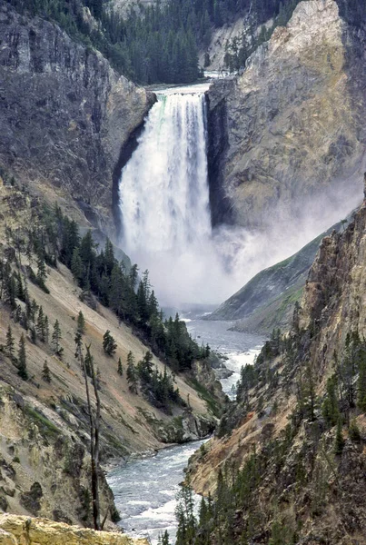 在黄石国家公园 怀俄明州低瀑布 — 图库照片
