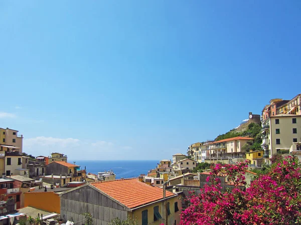 Vista Del Riomaggiore Costa Mediterránea Italia — Foto de Stock