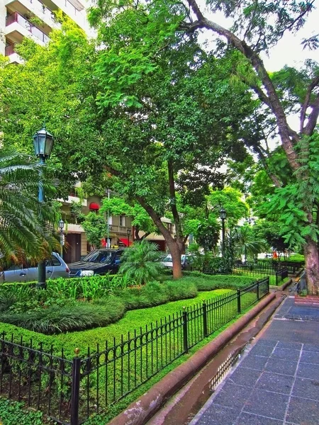 Buenos Aires Caddesi, Arjantin