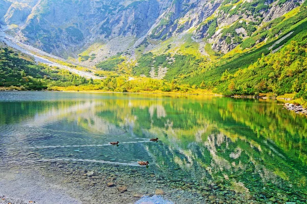 Lac Vert Dans Les Montagnes Tatra Slovaquie — Photo