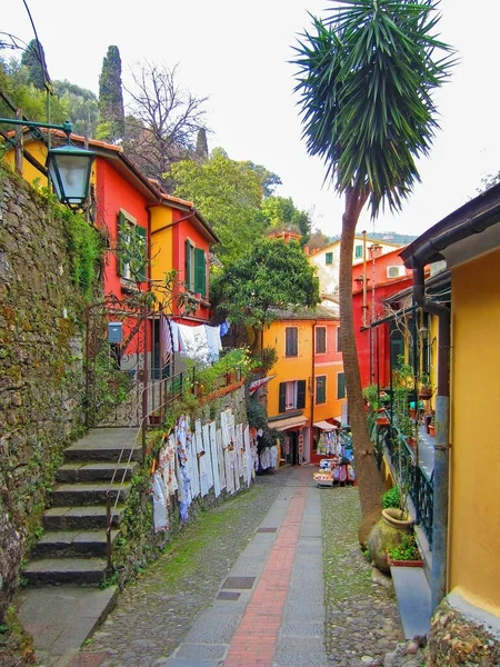 Street Portofino Italian Coast — Stock Photo, Image