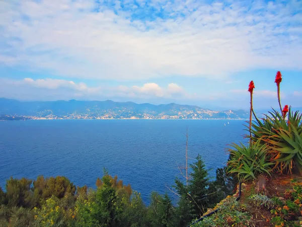 Italienische Küste Bei Portofino — Stockfoto